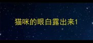 猫咪的眼白露出来