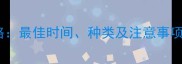 小狗首次疫苗全攻略最佳时间种类及注意事项附免疫程序表