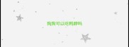 狗狗可以吃鸭脖吗