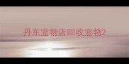 丹东宠物店回收宠物
