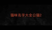 猫咪名字大全公猫
