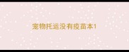 宠物托运没有疫苗本