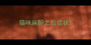 猫咪麻醉之后症状