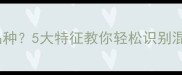 如何判断小狗品种5大特征教你轻松识别混血犬与纯种犬