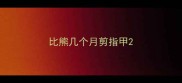 比熊几个月剪指甲