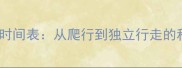 幼犬学会走路时间表从爬行到独立行走的科学养护指南