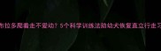 拉布拉多爬着走不爱动5个科学训练法助幼犬恢复直立行走习惯