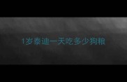 1岁泰迪一天吃多少狗粮