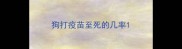 狗打疫苗至死的几率