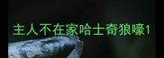 主人不在家哈士奇狼嚎