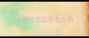 小狗吃自己屎怎么治