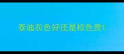泰迪灰色好还是棕色贵