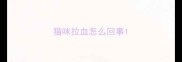 猫咪拉血怎么回事