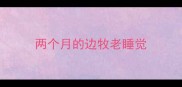 两个月的边牧老睡觉