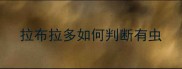 拉布拉多如何判断有虫