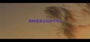 狗种疫苗会拉肚子吗