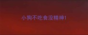 小狗不吃食没精神