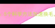 金毛换毛期护理全攻略5个科学方法加速换毛告别打结掉毛烦恼