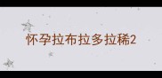 怀孕拉布拉多拉稀