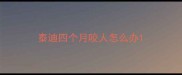 泰迪四个月咬人怎么办
