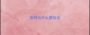宠物为什么要包毛