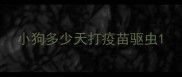 小狗多少天打疫苗驱虫