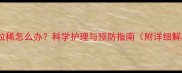 母狗产后拉稀怎么办科学护理与预防指南附详细解决方案