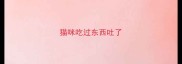 猫咪吃过东西吐了