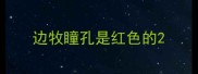边牧瞳孔是红色的