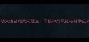 萨摩耶幼犬疫苗相关问题全不接种的风险与科学应对指南