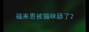 福来恩被猫咪舔了