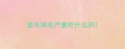 金毛掉毛严重吃什么药