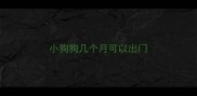 小狗狗几个月可以出门