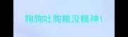 狗狗吐狗粮没精神