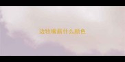 边牧嘴唇什么颜色