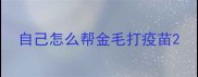 自己怎么帮金毛打疫苗