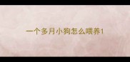 一个多月小狗怎么喂养