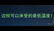 边牧可以承受的最低温度