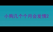 小狗几个个月会发情
