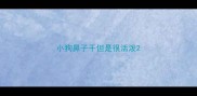 小狗鼻子干但是很活泼