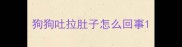 狗狗吐拉肚子怎么回事
