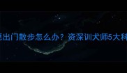 拉布拉多不愿出门散步怎么办资深训犬师5大科学训练方案