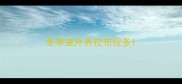 冬季室外养拉布拉多