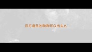 没打疫苗的狗狗可以出去么