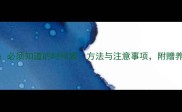 小狗驱虫全攻略必须知道的时间表方法与注意事项附赠养宠人必看清单