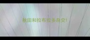 秋田和拉布拉多杂交