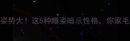 小狗睡觉姿势大这5种睡姿暗示性格你家毛孩排第几