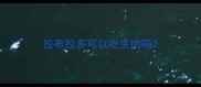 拉布拉多可以吃生肉吗