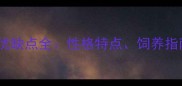 金毛哈士奇混血犬优缺点全性格特点饲养指南与健康注意事项