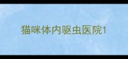 猫咪体内驱虫医院